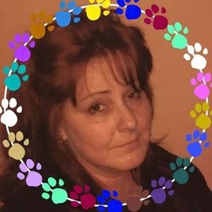 Meet your Posher, Jane